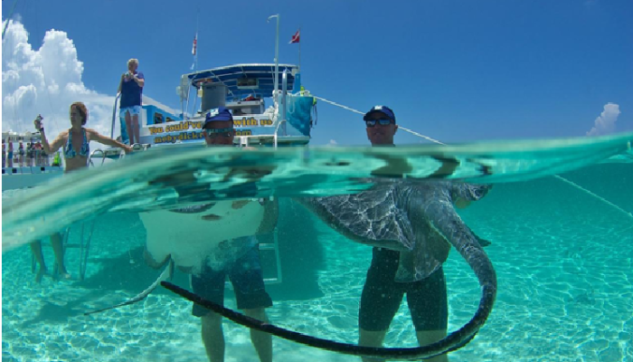 5 Fun Activities in the Cayman Islands